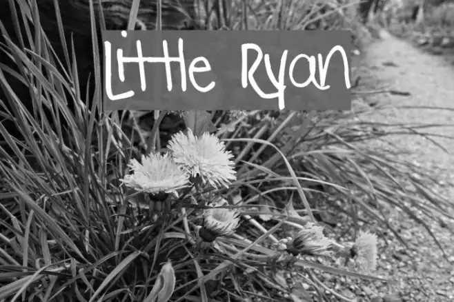 Little Ryan Example 3