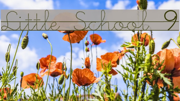 Little School 9 Font examples