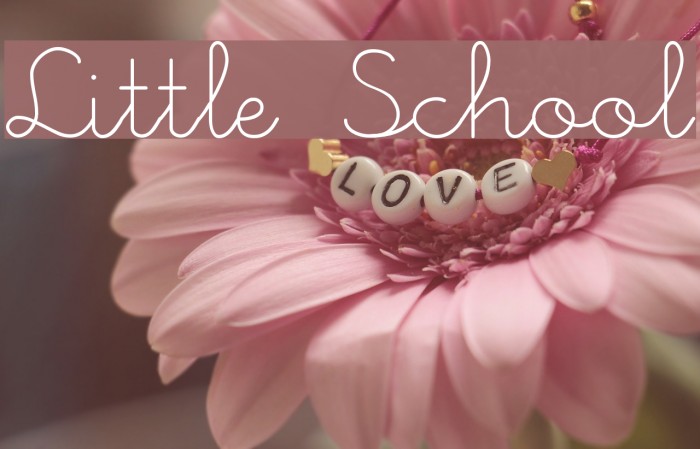 Little School Font examples
