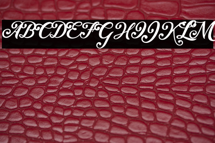 Little Sister Personal Use Regular Example 1