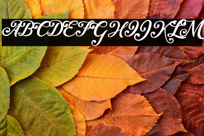 Little Sister Personal Use Regular Example 3