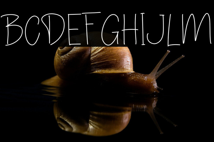 Little Small Example 3