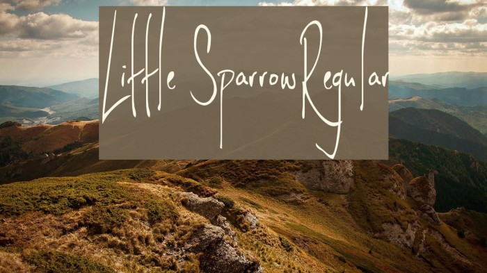 Little SparrowRegular Font examples