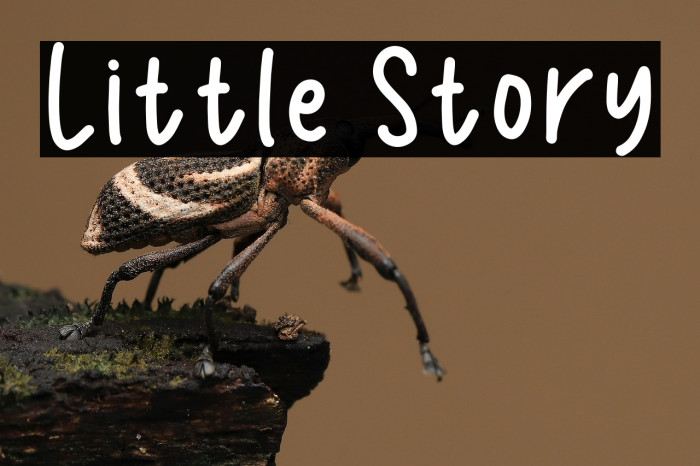 Little Story Example 1