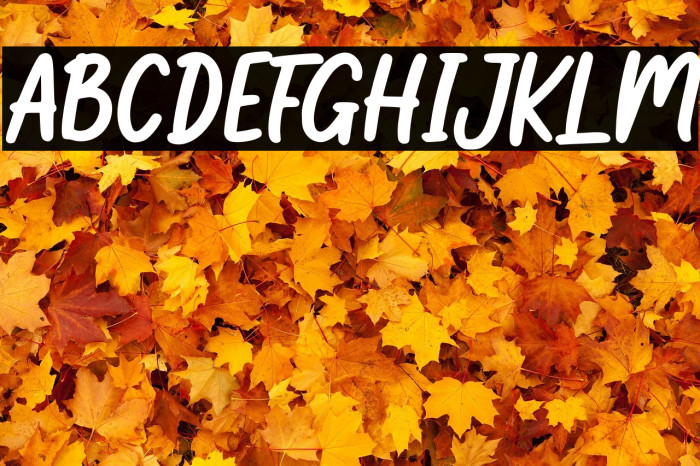 Little Student Example 1