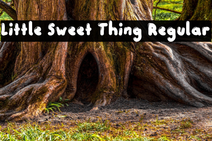 Little Sweet Thing Regular Example 3