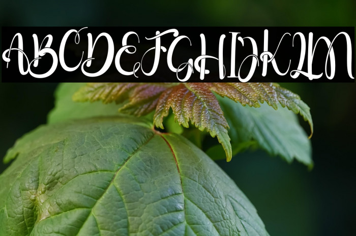 Little Tabilla Example 1