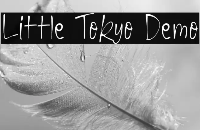 Little Tokyo Demo 字体 examples
