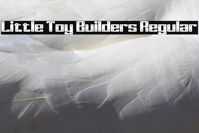 Little Toy Builders Regular Example 1