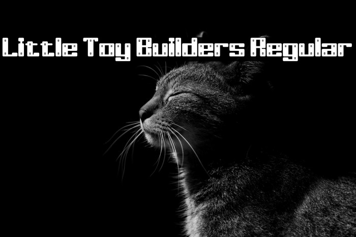 Little Toy Builders Regular Example 2