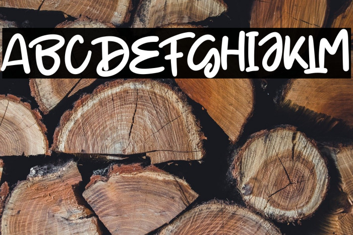 Little Turtle Example 3