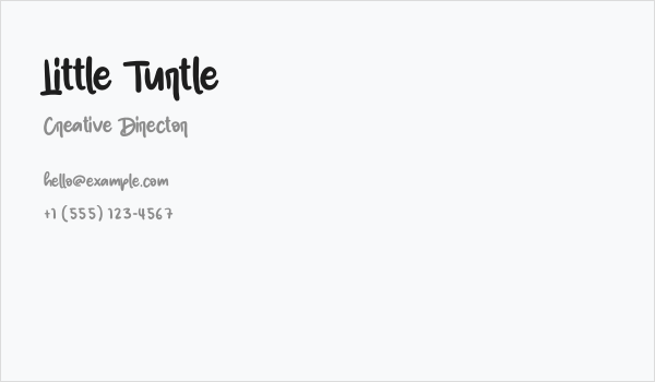 Little Turtle Business Card