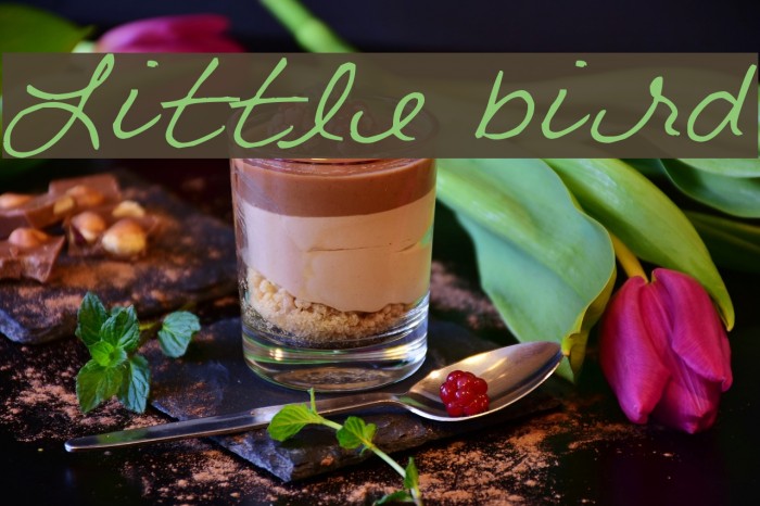 Little bird Font examples