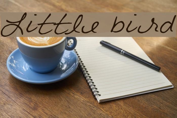 Little bird Font examples