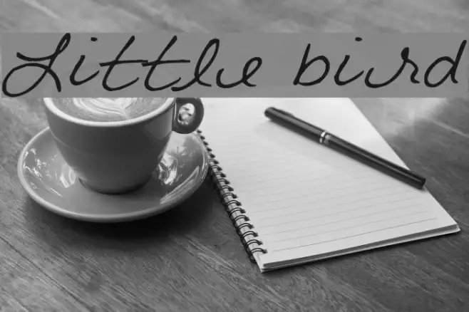 Little bird Example 3