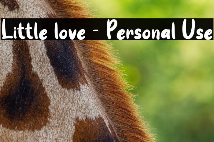 Little love - Personal Use Example 3