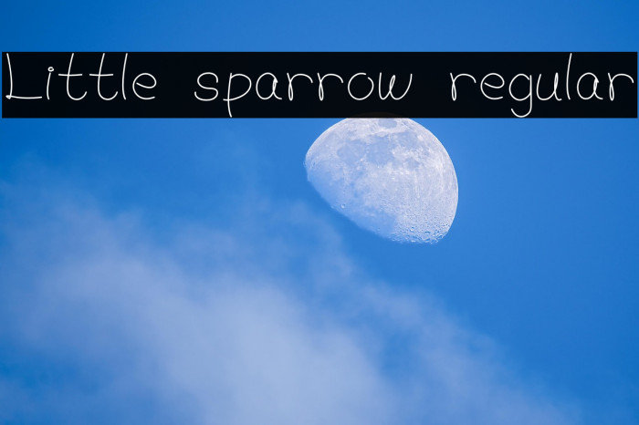Little sparrow regular Example 1