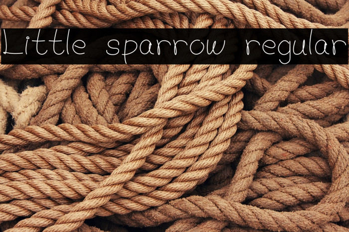 Little sparrow regular Example 2