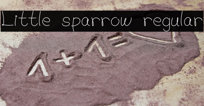 Little sparrow regular Example 3