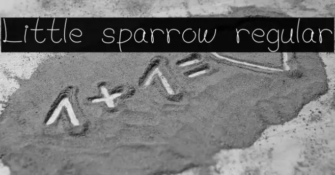 Little sparrow regular Example 3