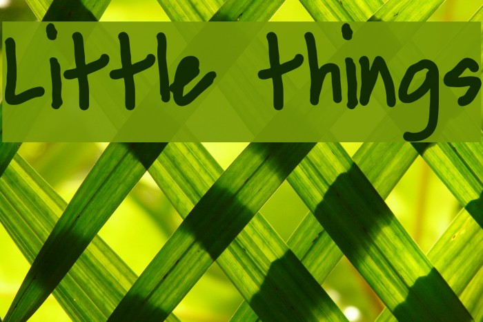 Little things Font examples