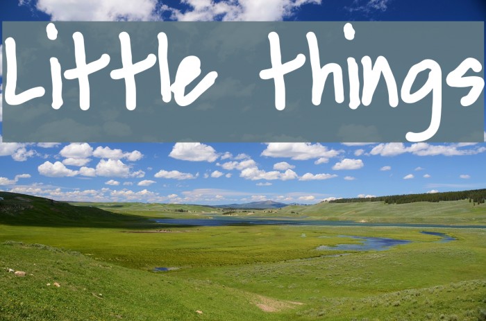 Little things Font examples