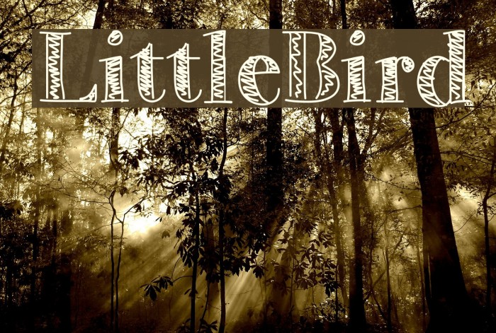 LittleBird Font examples