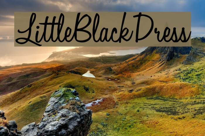 LittleBlackDress Example 2