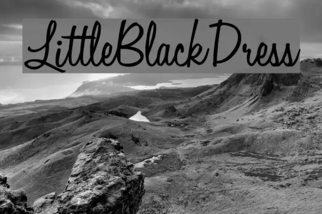 LittleBlackDress Example 2