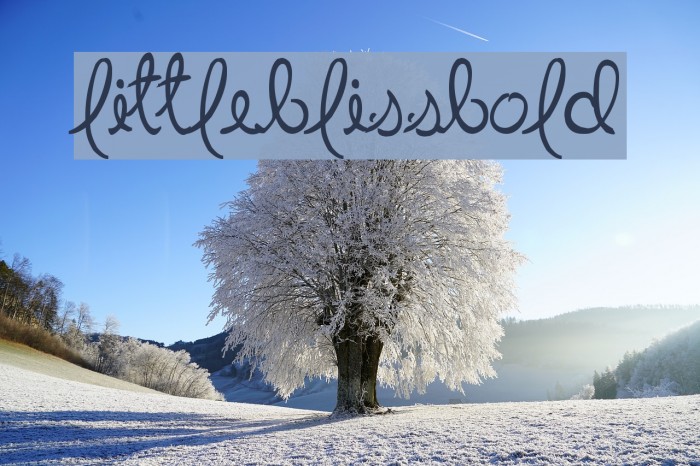 LittleBlissBold Font examples