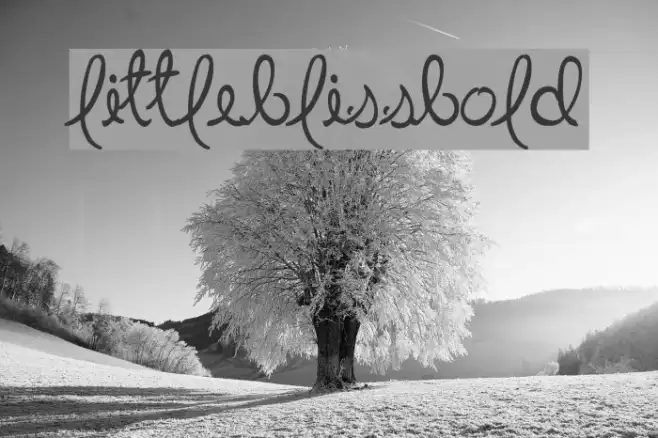 LittleBlissBold Example 1