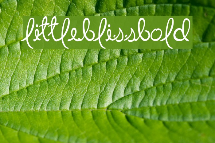 LittleBlissBold Font examples