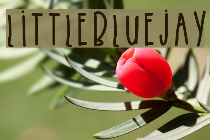 LittleBlueJay Font examples