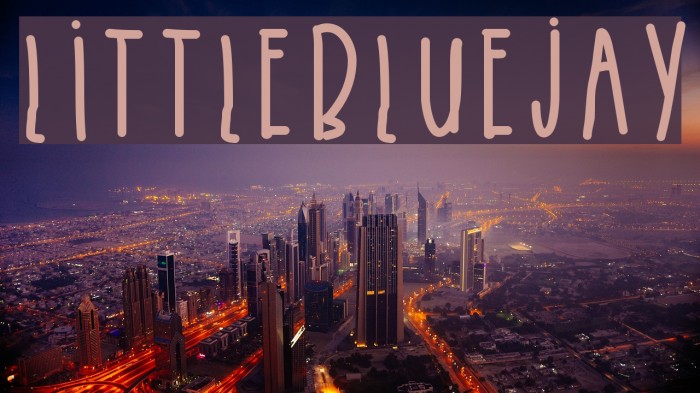 LittleBlueJay Font examples