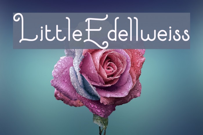 LittleEdellweiss Font examples