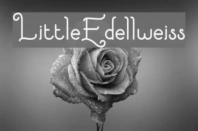 LittleEdellweiss Example 1