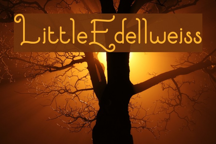 LittleEdellweiss Font examples