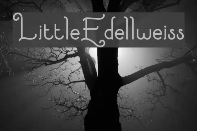 LittleEdellweiss Example 2