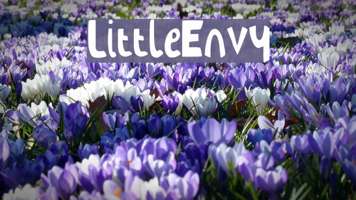 LittleEnvy फ़ॉन्ट examples