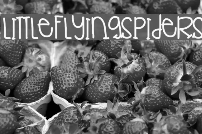 LittleFlyingSpiders Font examples