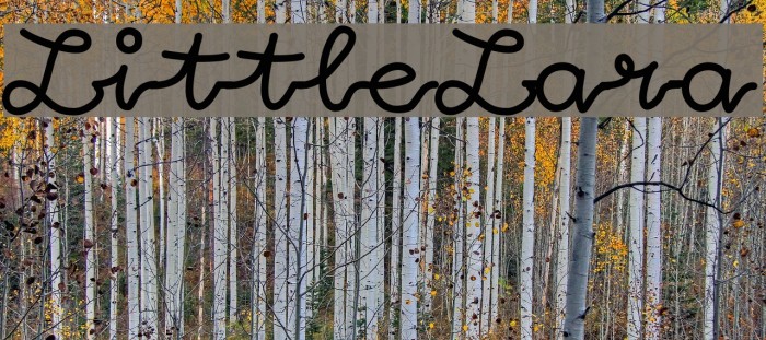 LittleLara Example 1