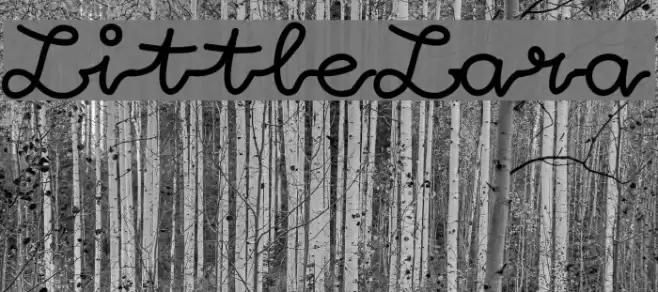 LittleLara Font examples