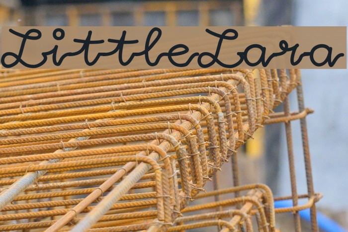 LittleLara Example 3