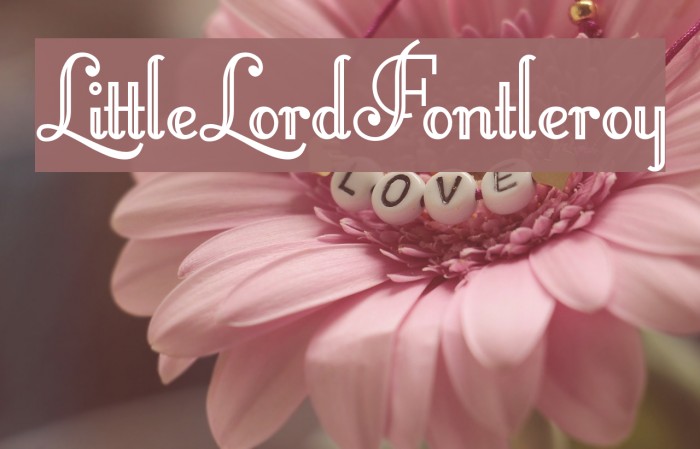 LittleLordFontleroy Font examples