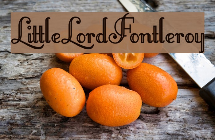 LittleLordFontleroy Font examples