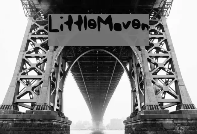 LittleMaven Example 3