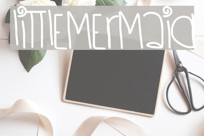 LittleMermaid Example 1