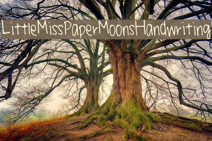 LittleMissPaperMoonsHandwriting Font examples