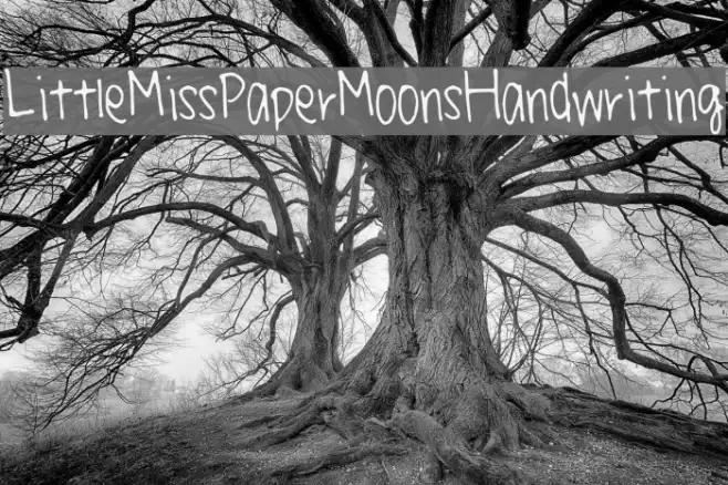 LittleMissPaperMoonsHandwriting Example 3