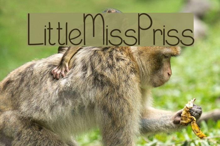 LittleMissPriss Example 2